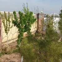 فروش باغ چهاری دیواری سند تک برگ