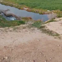 فروش ۲۸ هکتار زمین کشاورزی سرخه شوش سند ثبتی