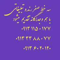 خط موبایل ۰۹۱۳۱۱۵۰۱۷۱