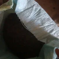 کود گوسفندی گونی|خدمات باغبانی و درختکاری|نجف‌آباد, دلگشا|دیوار