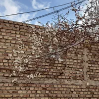فروش خانه ویلایی ۱۳۰ متری ۱ خوابه