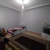 دوتا گلیم شش متری