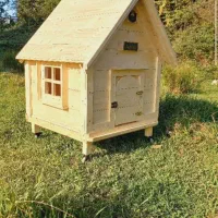 خانه سگ و گربه