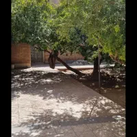 دنبال کار هستم