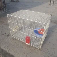 قفس مخصوص جفتگاه|لوازم جانبی حیوانات|گالیکش, |دیوار