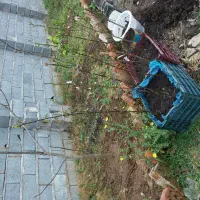 زمین مسکونی ۲۲۵متری احمدگوراب|فروش زمین و ملک کلنگی|رشت, احمد گوراب|دیوار