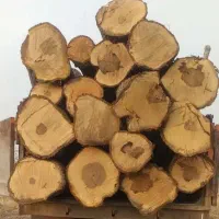 خرید انوع چوب
