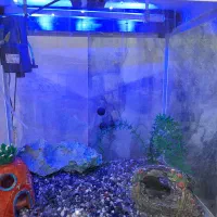 یک عدد اکواریوم با تمام وسیله ها