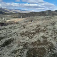 زمین کشاورزی|فروش دفتر صنعتی، کشاورزی، تجاری|خلخال, |دیوار