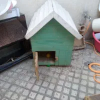 قفس چوبی آفتابگیر