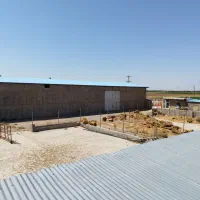 گاوداری صنعتی 104 راسی (امینی) بهر جاده اصلی|فروش دفتر صنعتی، کشاورزی، تجاری|دشتابی, |دیوار