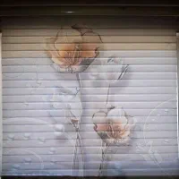 پرده زبرا