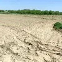 اجاره زمین کشاورزی در جاده سرچم|اجارهٔ دفتر صنعتی، کشاورزی، تجاری|میاندوآب, |دیوار