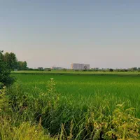 زمین مسکونی ۶۲۰ متری سند تک برگ و پروانه ساخت