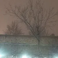 پرستاری از سالمند