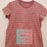 تی شرت های نخی کشی برند های خارجی|لباس|مرند, |دیوار