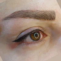 میکرو ابرو ،سایه ابرو و خط چشم،شیدینگ صورت