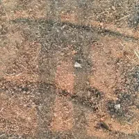 کود حیوانی /پشکل/