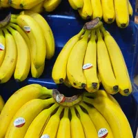 کارگر میوه فروشی|استخدام خدمات فروشگاه و رستوران|قم, شهرک امام حسین|دیوار