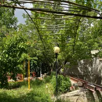 اجاره ویلا سویت منزل دماوند مشا مهراباد