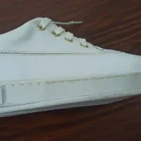 کفش|کیف، کفش، کمربند|اردبیل, |دیوار