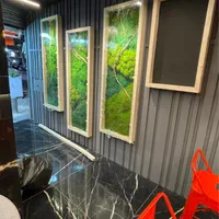 نصاب ماربل شیت ترموود ترموال  لاین نوری تی وی وال