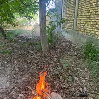 باغ محصور با درختان مثمر و سند تک برگ در دستجرد|فروش زمین و ملک کلنگی|قم, زنبیل آباد|دیوار