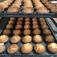 اجاره فانتزی