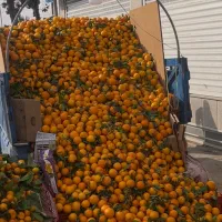 کارگر ساده|استخدام خدمات فروشگاه و رستوران|هشتگرد, شهرک کوثر|دیوار