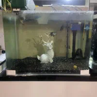 اکواریوم با متعلقات