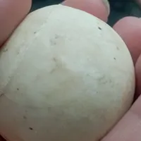 سنگ آسیاب الماس