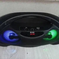 اسپیکر سالم