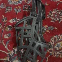 پوزه بند سگ