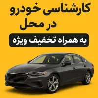 کارشناس خودرو/ رنگ و فنی/در محل/تمام مناطق تهران