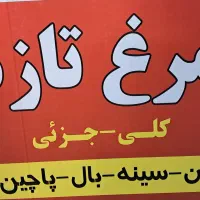 شاگرد همکار