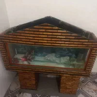 آکواریوم ماهی