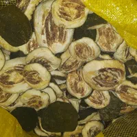 پخش لیمو خشک ومشتقات لیمو وترنج تازه بالنگ