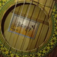 گیتار نیمه حرفه ای