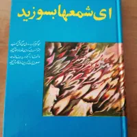 کتاب|کتاب و مجله ادبی|شیراز, کلاهدوز|دیوار