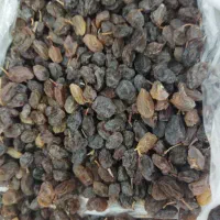 فروش کشمش بیدانه|خوردنی و آشامیدنی|قزوین, |دیوار
