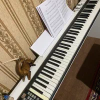 میدی کنترلر