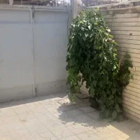 اجاره خانه ویلایی ۷۰ متری در شاهد دربست