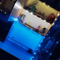 میز تحریر وکتابخانه چوبی و لامپLED سالم و در حد نو|میز تحریر و کامپیوتر|پرهسر, |دیوار