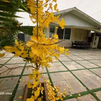 کدپاییز/ویلا۴۶۰مترامنیت.مدارک حرف اول میزنه معلمسا