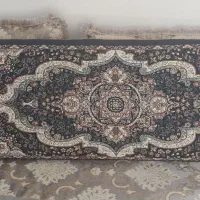 دو جفت پشتی