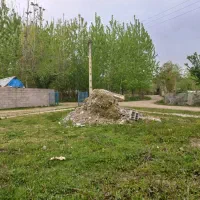 250متر زمین مسکونی با پروانه ساخت شاندر من|فروش زمین و ملک کلنگی|شاندرمن, |دیوار