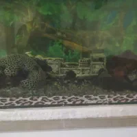 آکواریوم بزرگ