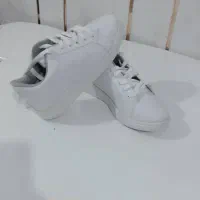 کفش اسپورت|کیف، کفش، کمربند|شیراز, پودنک|دیوار