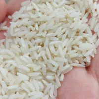 برنج هاشمی