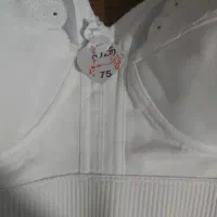 سوتین برند آذین|لباس|شیراز, فرگاز|دیوار